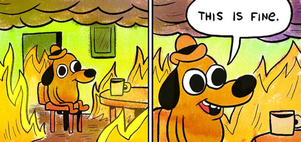 This is fine dog meme